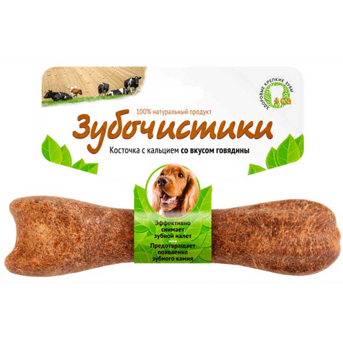 Зубочистики