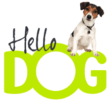 Hello Dog