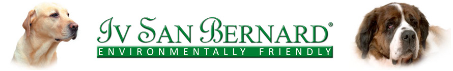 Iv San Bernard