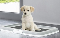 Набор для приучения к туалету: рамка-держатель, Puppy training set