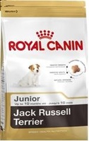 Для щенков Джек Рассел терьера, Jack Russell Junior