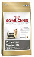 Для взрослого йоркширкого терьера с 10 мес., Yorkshire Terrier 28