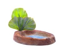 Декор для аквариумов "Мини бассейн" , 14*11*13 см, Aqua-decor mini voerbakje