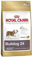 Для взрослого английского бульдога с 12 мес., Bulldog 24