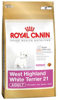 Для вест хайленд уайт терьера с 10 мес., West Highland White Terrier 21