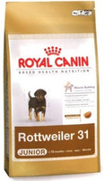 Для щенков ротвейлера от 2 до 18 мес., Rottweiler Junior 31