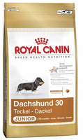 Для щенков таксы до 10 мес., Dachshund Junior 30