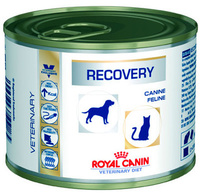 Паштет для животных при анорексии, Recovery Feline/Canine